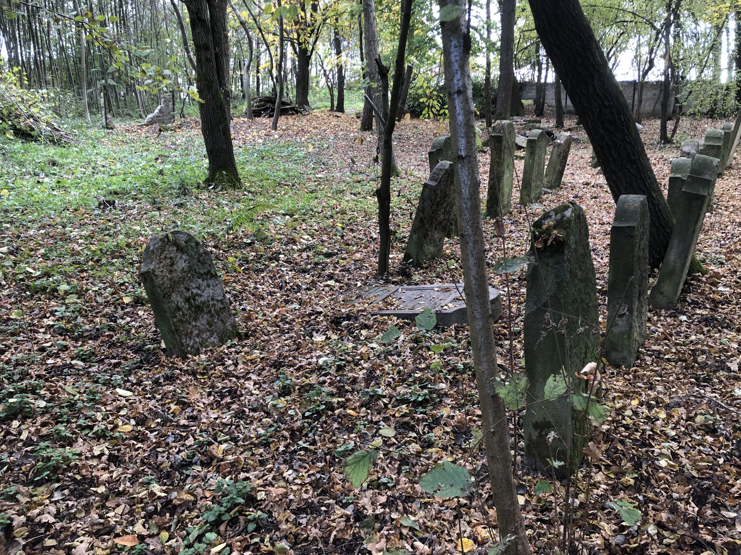 Kolejny etap prac na błażowskim kirkucie